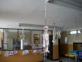 /album/cuerpo-humano/cuerpo-humano2-3-jpg/